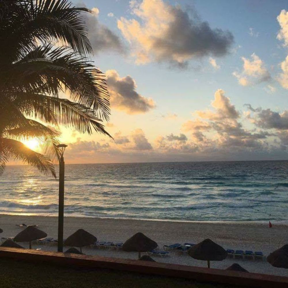 Meet your Posher, Leann